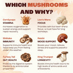 Mushroom Medium Roast Coffee USDA Organic with 6 Adaptogenic Mushrooms, USA Grown Instant Coffee for Better Energy, Focus Digestion Immunity with Lions Mane & Turkey Tail 30 Servings