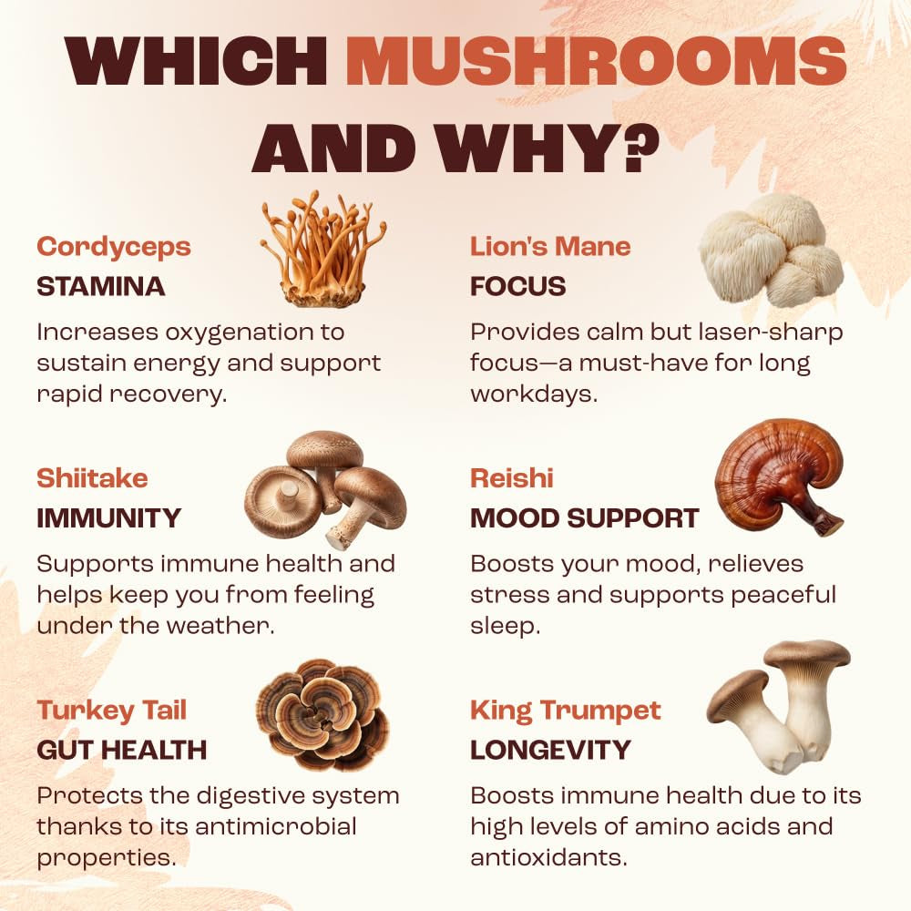 Mushroom Medium Roast Coffee USDA Organic with 6 Adaptogenic Mushrooms, USA Grown Instant Coffee for Better Energy, Focus Digestion Immunity with Lions Mane & Turkey Tail 30 Servings